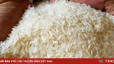 Se prevé que Filipinas importe una cifra récord de 5,7 millones de toneladas de arroz.