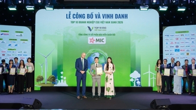 Militærforsikringsselskap kåret til et av de 10 beste grønne ESG-selskapene i Vietnam i 2026 i forsikringsbransjen.