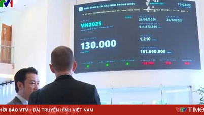 Se inaugura la sala de negociación de emisiones de carbono: se negociaron más de 161 millones de VND en la primera sesión.