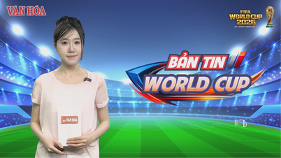 World Cup News 29.6: Canada makes history, South Korean coach resigns after defeat.