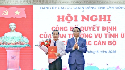 Kammerat Huynh Ngoc Anh er stående vicesekretær for partiagenturernes partikomité i Lam Dong-provinsen.