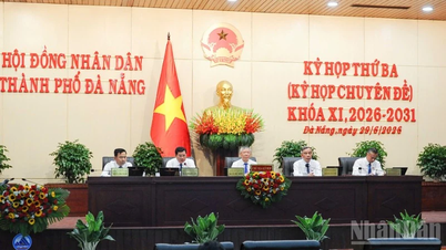 Da Nang approva il piano per la creazione di 10 nuovi distretti e diverse importanti risoluzioni.