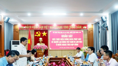Information about workers employed abroad should be published and updated periodically.