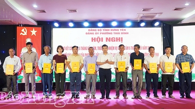 Wijk Thai Binh: Bekendmaking van de beslissingen om 32 partijafdelingen en 32 woongroepen op te richten.