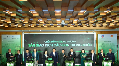 Vietnam's first carbon exchange officially begins operation.