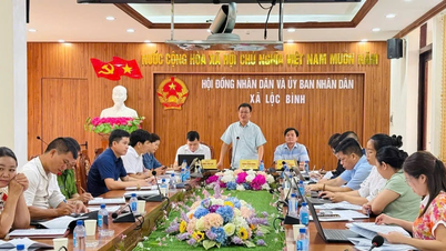 Loc Binh (Lang Son): Yerel yönetim mekanizmasını modernize ederek kaynakların kullanımını kolaylaştırmak.