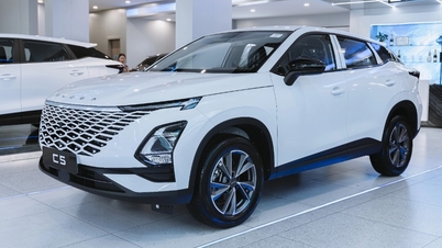 המתחרה של Xforce מוסיפה גרסה חדשה, במחיר מבצע של פחות מ-500 מיליון וונד.