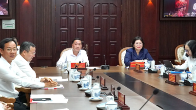 कार्मिक कार्य संबंधी विनियमों की समीक्षा, संशोधन, पूरक और नवाचार पर सलाह देना।