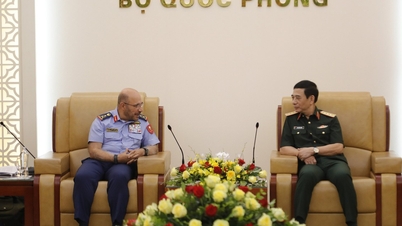 Podpora věcné a efektivní obranné spolupráce mezi Vietnamem a SAE.