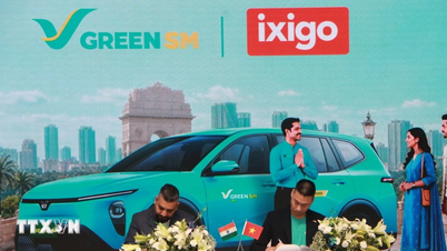 Ấn Độ: Thủ đô Delhi thông qua chính sách xe điện mới