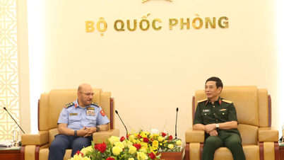 Việt Nam và UAE tăng cường hợp tác trong lĩnh vực quốc phòng
