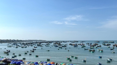 Yılın ilk altı ayında Mui Ne Ulusal Turizm Bölgesi Geliştirme Planı'nın uygulanmasının değerlendirilmesi.