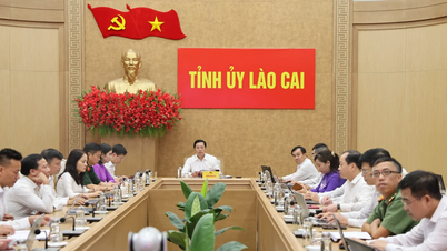 Lao Cai se v posledních šesti měsících roku 2026 účastní celostátní konference o plnění úkolů pro budování strany a organizační práci.