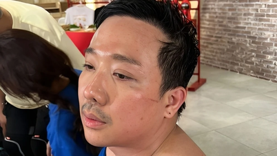 Tran Thanh dan Ninh Duong Lan Ngoc kembali.