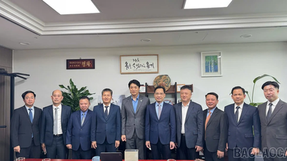 Delegace z provincie Lao Cai uskutečnila zdvořilostní návštěvu u členů Korejského národního shromáždění.