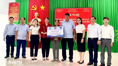 เผยแพร่ข้อมูลเกี่ยวกับกรมธรรม์ประกันภัยและกฎหมายต่างๆ แก่ประชาชน