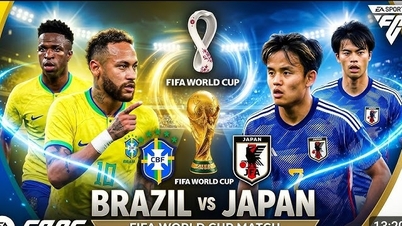 Link per guardare la partita di calcio Brasile-Giappone in diretta, alle 00:00 del 30 giugno.