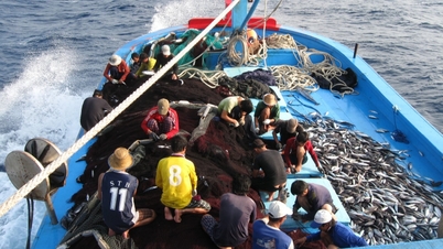 Fiskerne i Gia Lai er åbne om deres fiskeri.