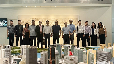 De delegatie van Dong Nai City bestudeert ervaringen met stadsontwikkeling in Singapore.