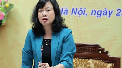 Movilizar todos los recursos para completar el proyecto de apertura del centro de Ninh Binh del Hospital de la Amistad Vietnam-Alemania para exámenes y tratamientos médicos a partir del 10 de julio.