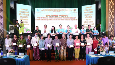 Many meaningful social welfare activities in Can Gio commune.