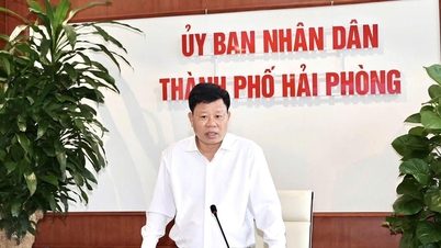 Hai Phong ia măsuri decisive pentru a recupera locuințele publice și terenurile vacante.