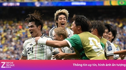 Das Bild zeigt das japanische Team, das mit Lob überschüttet wird.