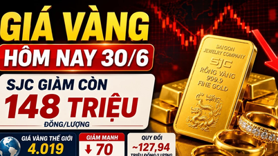 Precios del oro hoy, 30 de junio: Los precios del oro en SJC, BTMC, DOJI y PNJ disminuyeron ligeramente.
