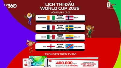 Confira a programação e a transmissão ao vivo da Copa do Mundo de 2026 na VTV em 1º de julho.