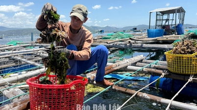 宣戴区は沿岸部の優位性を活かしている。