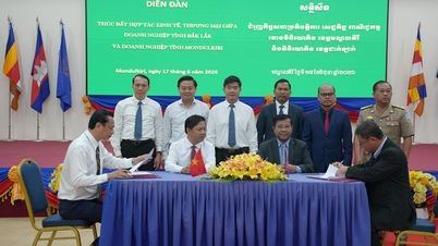 Uitbreiding van de samenwerking tussen Dak Lak en Mondulkiri