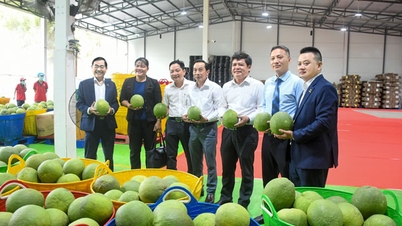 Tekenen van economische groei in lokale gebieden.