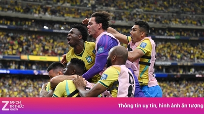 Presa mondială se înclină cu admirație în fața Braziliei.
