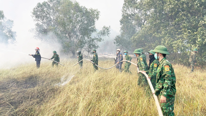 Melestarikan hutan selama musim panas.