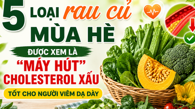 5 tipos de verduras de verano que ayudan a controlar los lípidos en sangre y son buenas para las personas con gastritis.