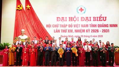 Trasformare la Croce Rossa di Quang Ninh in un centro di coordinamento per le risorse umanitarie.