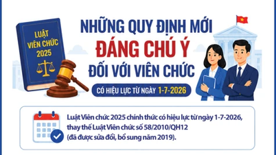 [Infografic] Reglementări noi notabile pentru funcționarii publici, în vigoare de la 1 iulie 2026