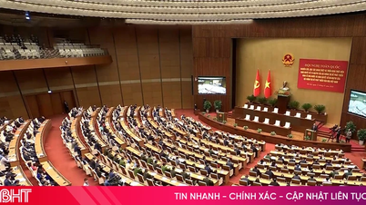 Live Hội nghị quán triệt, triển khai thực hiện Nghị quyết số 10-NQ/TW của Bộ Chính trị