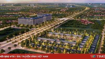 អចលនទ្រព្យសុខុមាលភាព និងបញ្ហាប្រឈមនៃការប្រមូលផ្តុំទ្រព្យសកម្មសុខភាពរយៈពេលវែង។