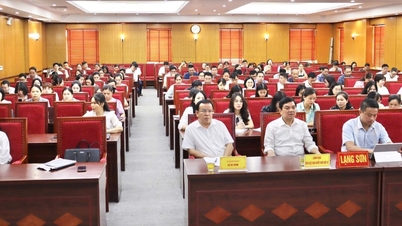 กรมการคลังได้ประสานงานกับกระทรวงการคลังเพื่อจัดการฝึกอบรมเกี่ยวกับระบบ TABMIS ซึ่งเป็นระบบบริการสาธารณะออนไลน์ของสำนักคลัง และระบบคลังข้อมูลสถิติและการวิเคราะห์ธุรกิจของกระทรวงการคลัง