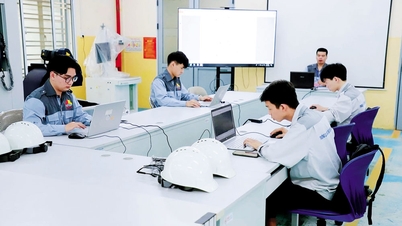 직업 훈련의 질을 향상시키기 위한 활용