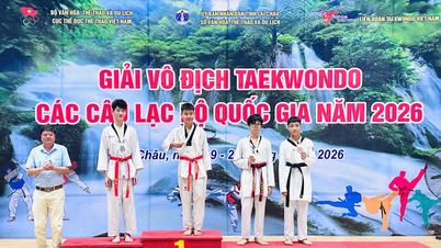 Lao Cai memenangkan 14 medali di Kejuaraan Klub Taekwondo Nasional 2026.