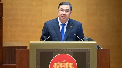 ファム・ザー・トゥック副首相による、政治局決議第10-NQ/TW号「外国投資による経済発展」の実施に関する全国会議での演説。