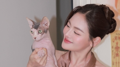 Thùy Anh sangat hemat dalam menggunakan setiap sen untuk merawat 'lima anak kecilnya'.