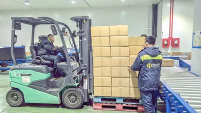 Can Tho realizuje zadanie rozwoju międzynarodowego centrum usług logistycznych.