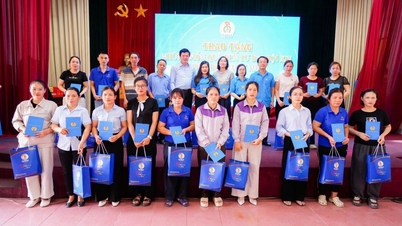 Fornire supporto a 446 iscritti al sindacato nella provincia di Nghe An affetti da gravi malattie e malattie professionali.