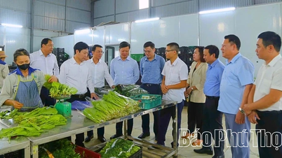 Khơi dậy nội lực nông dân xây dựng nông thôn mới