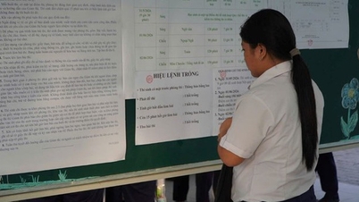 Hôm nay công bố điểm chuẩn lớp 10 ở TP. Hồ Chí Minh
