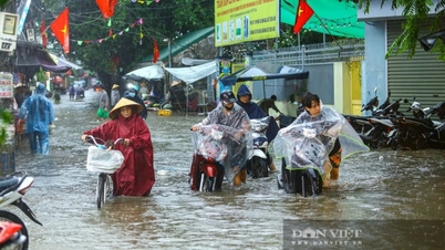 Ultime notizie sulle forti piogge ad Hanoi e nel Vietnam settentrionale: piogge torrenziali con accumuli superiori a 250 mm nel nord, allerta per inondazioni improvvise e frane in 7 province.