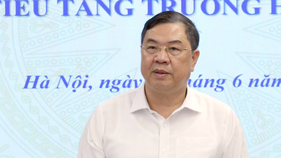 Phó thủ tướng thường trực Chính phủ: Chủ động khai thác khoáng sản trong nước, tránh phụ thuộc nhập khẩu